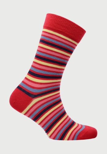 Barnstaple Red with Yellow, Pink, Sky Blue and Navy Stripe Socks